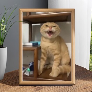 圆头耄耋猫猫哈气可爱治愈猫meme哈基米自由意志可挂装饰相框摆台