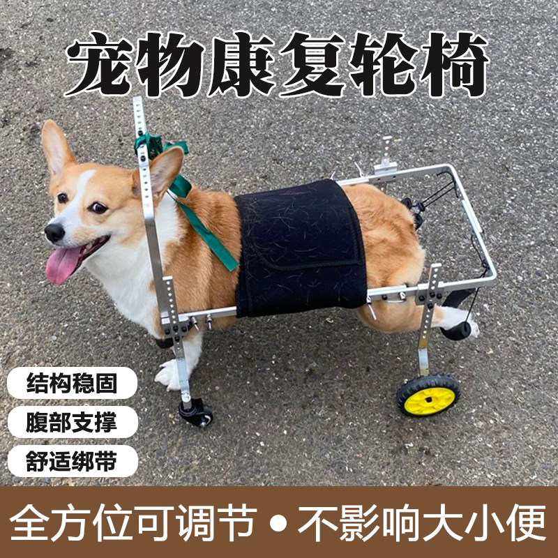 残疾狗轮椅后肢宠物助力车老年狗瘫痪前肢辅助代步后腿猫咪助行车