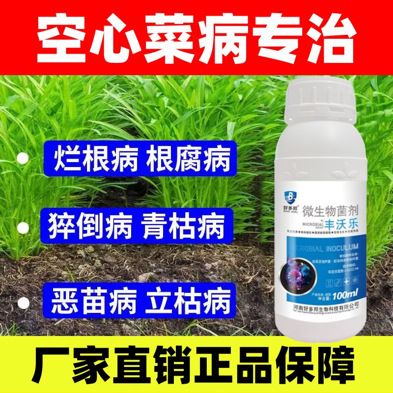 空心菜专用药白烂根叶锈病炭疽病褐斑病根腐霜霉病特效杀菌剂