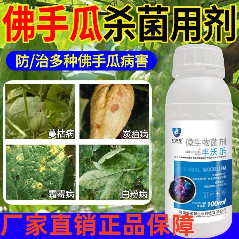 佛手瓜专用药佛手瓜杀菌剂黄叶病白粉病枯萎病炭疽病蔓枯病全治