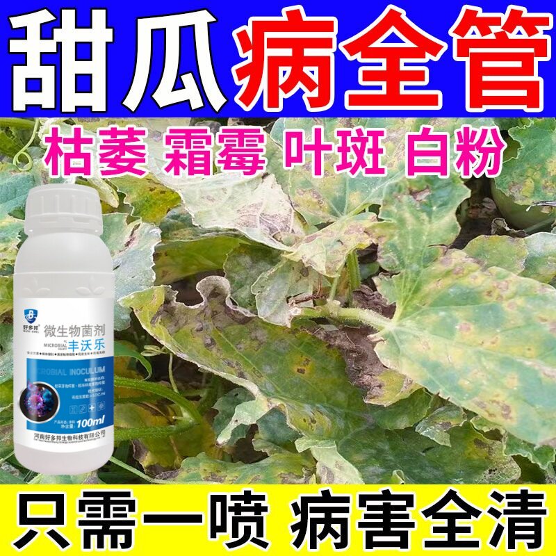 甜瓜病害专用药枯萎蔓枯病毒病炭疽白粉病全治西瓜甜瓜专用杀菌剂