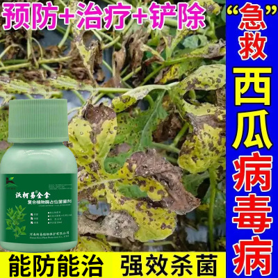 西瓜枯萎病蔓枯病根腐病西瓜病毒百西瓜专治病毒死苗黄叶生根壮苗