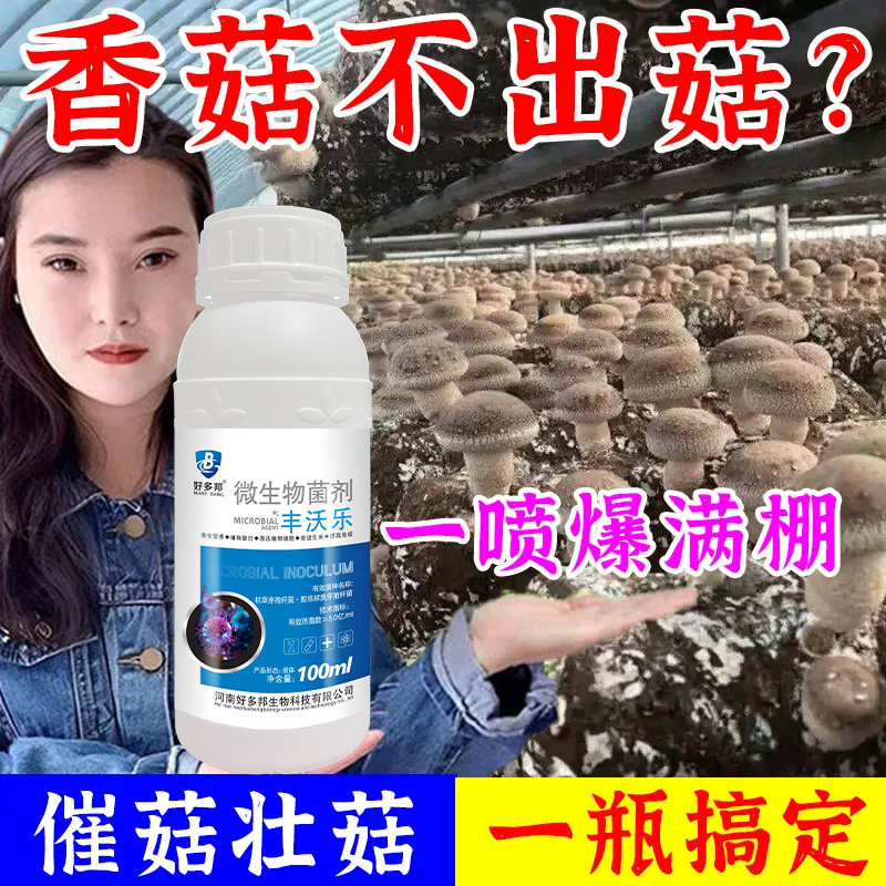 香菇菌绿霉菌专用药杂菌病害清平菇香菇菌类绿霉菌净细菌性斑点