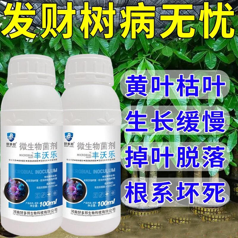 发财树叶子黄斑、黑斑、叶斑专用的药叶子发黄白斑枯萎杀菌剂