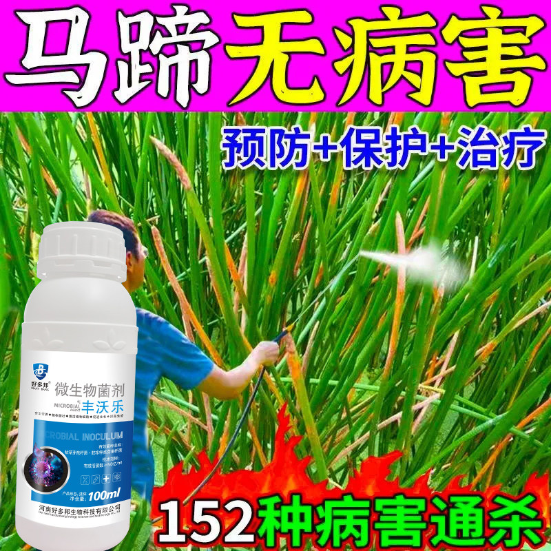 马蹄病全治马蹄杀菌剂荸荠黄萎病红尾病白粉病杆枯病瘟茎腐病
