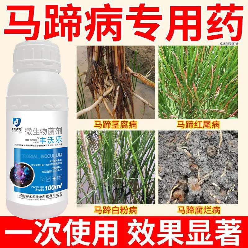 马蹄病全治马蹄杀菌剂荸荠黄萎病红尾病白粉病杆枯病马蹄瘟茎腐病