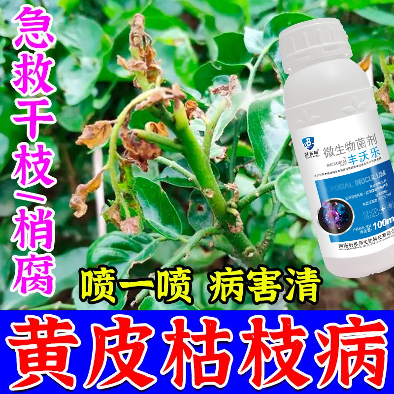 黄皮病全治黄皮专用杀菌剂黄叶梢腐根腐炭疽烟煤全杀黄皮病专用药
