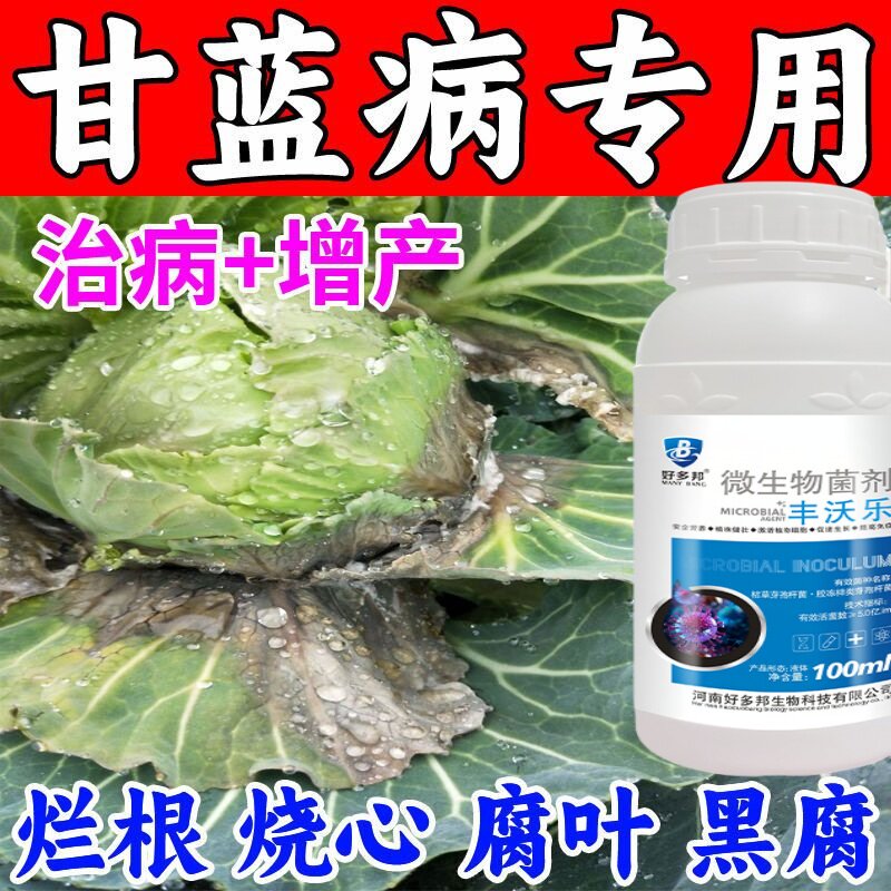 白菜甘蓝防腐包心剂专用肥料叶面肥调节剂软腐病微生物菌剂病菌清
