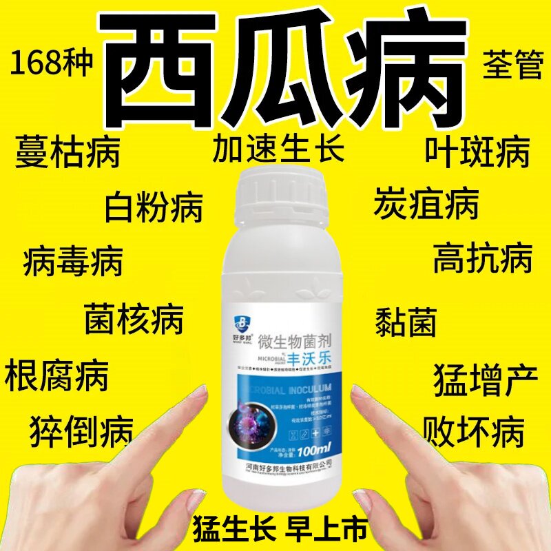 西瓜病菌清复合微生物菌剂麒麟西瓜京欣西瓜甜瓜蔬菜专用叶面肥料