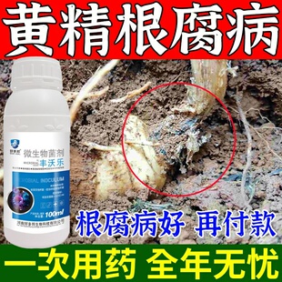 黄精黄叶根腐专用药黄精病全治杀菌剂黑斑病叶斑病炭疽病灰霉病