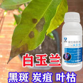 白玉兰病害专用药白玉兰杀菌黄叶烂根白粉病炭疽病黑斑病杀菌剂