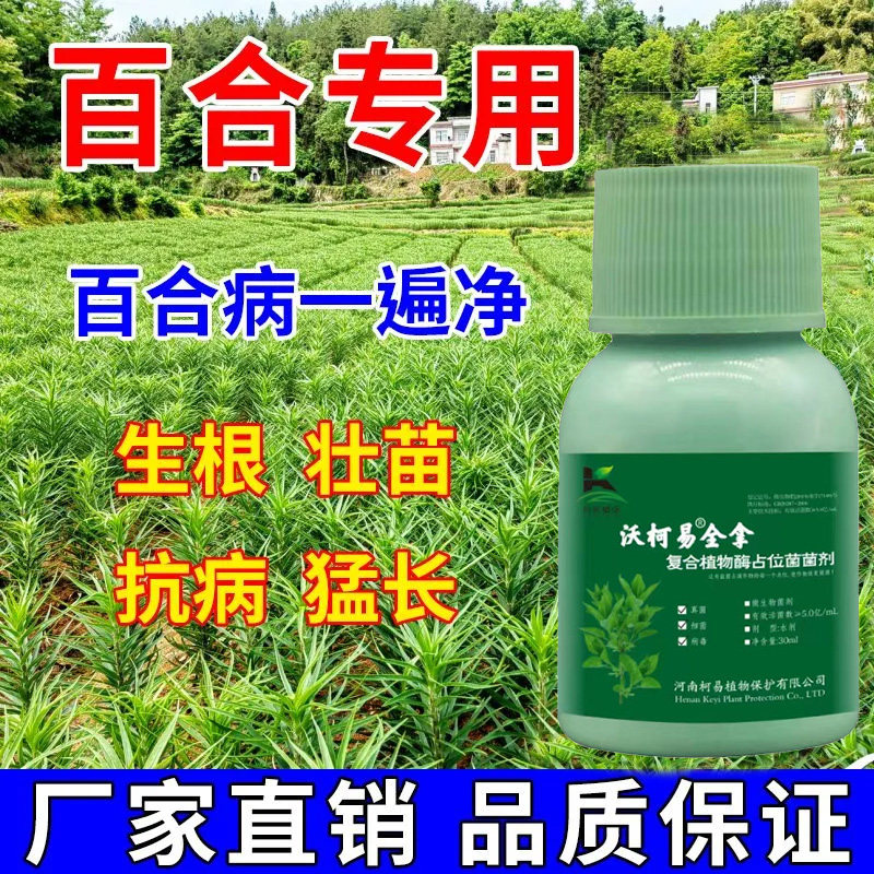 百合杀菌剂百合专用药花叶病斑点病叶枯病茎腐病灰霉病克星杀菌剂
