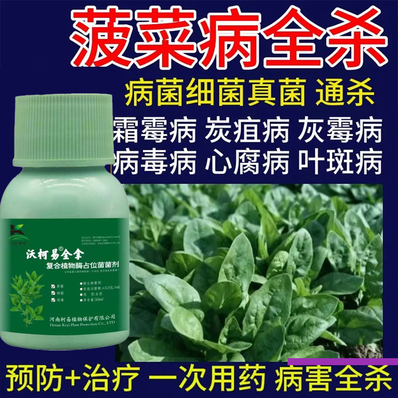 菠菜病全管菠菜专用杀菌剂霜霉病软腐病白斑病黑斑病黑腐病炭疽病