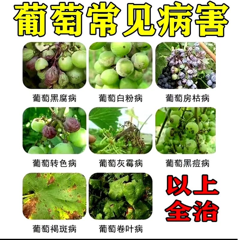 葡萄病全治葡萄专用杀菌剂微生物菌剂肥料霜霉灰黑痘白粉褐斑果腐