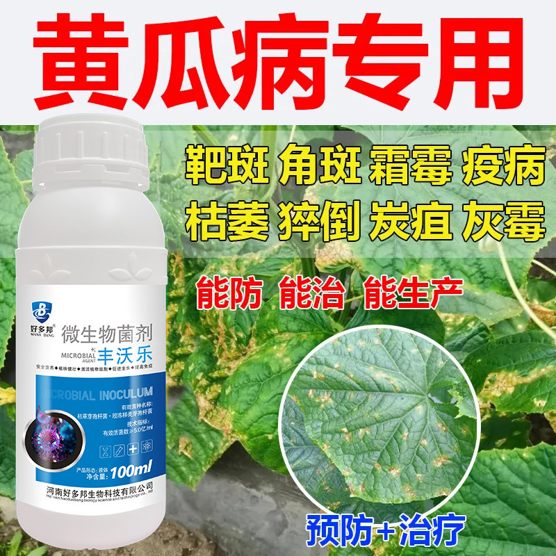 黄瓜专用药黄瓜病毒病靶斑病病特效药拉直素专用肥杀菌剂