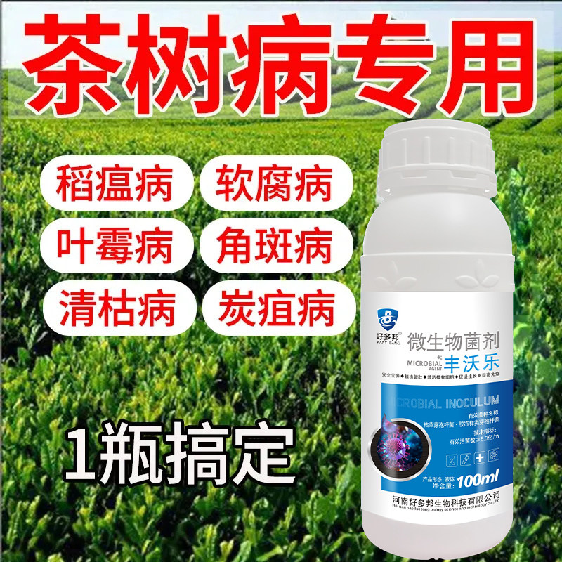 茶树专用杀菌剂茶树病防治软腐病炭疽病茶饼病叶枯病叶霉病黑斑病