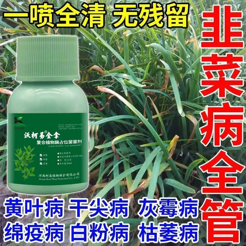 急救韭菜腐烂病烂根沤根高温引起韭菜软腐病黄叶死苗用微生物菌肥
