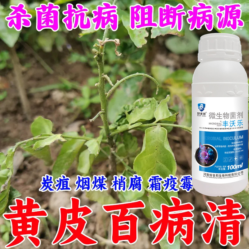 黄皮病全治黄皮专用杀菌剂黄叶梢腐根腐炭疽烟煤全杀黄皮病专用药