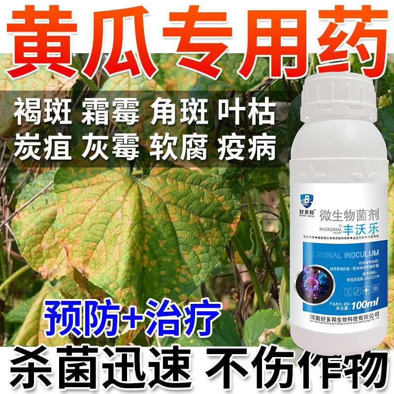 黄瓜专用杀菌剂黄瓜靶斑病黄点炭疽病褐斑病霜霉病叶斑病黄瓜杀菌