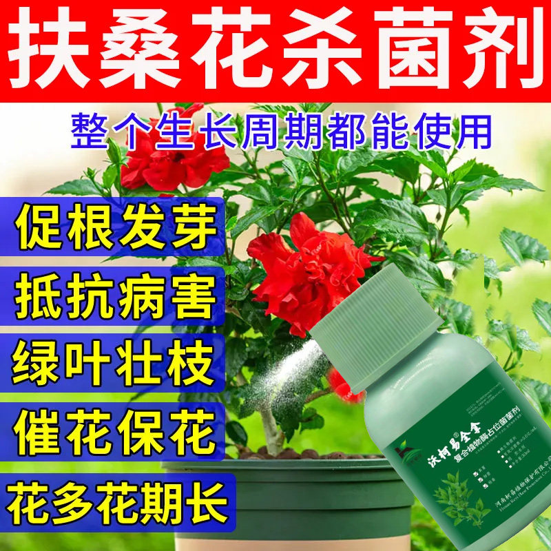 扶桑花营养液防黄叶枯萎催芽促花生根壮苗植物液体肥料