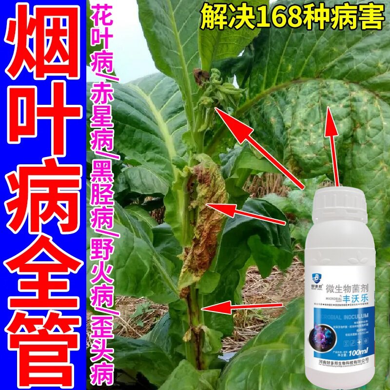 烟草专用药青枯病野火病花叶病根黑病炭疽病赤星病叶面农用农药