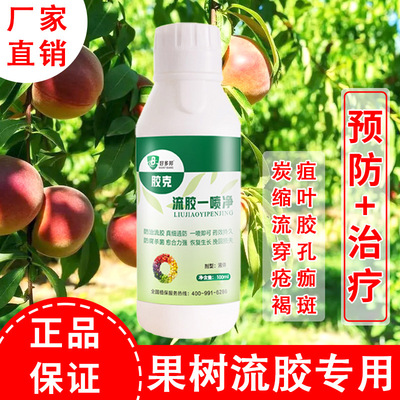 果树樱桃桃树苹果流胶病流胶专治疮痂病穿孔杀菌穿孔净杏李子柑橘