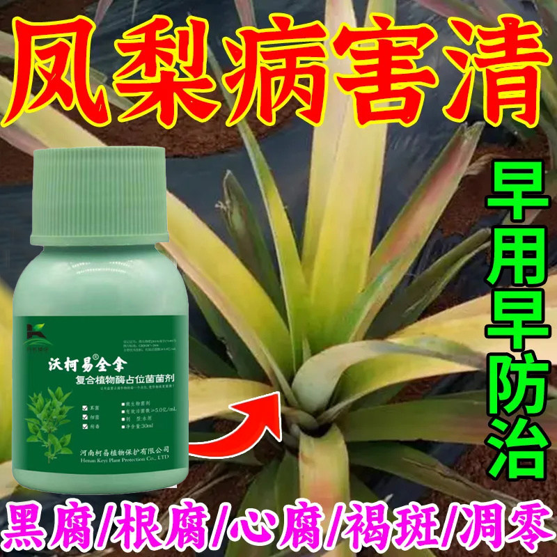 凤梨专用药凤梨病全治苗心腐病白斑根腐病凤梨病害清快速杀菌剂