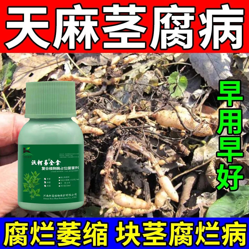 天麻专用药天麻病全治根腐病真菌茎块腐烂病害杀菌剂抗病增产膨大