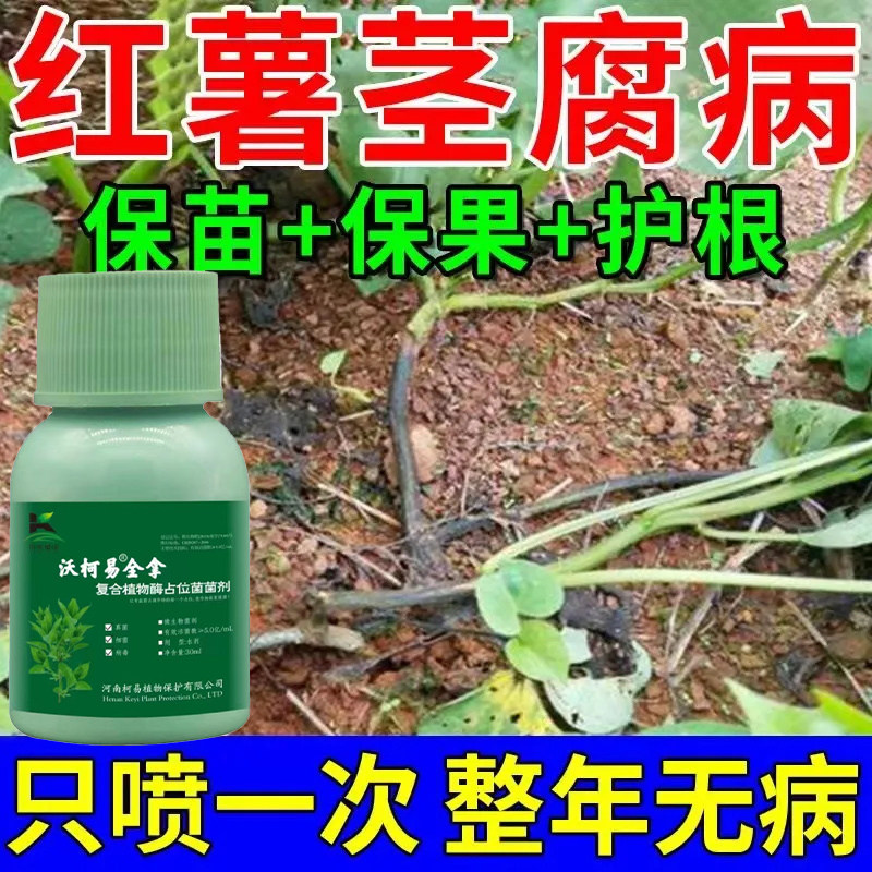 红薯杀菌剂红薯病害药地瓜病全治全杀专治灰斑病根腐病茎腐病白粉
