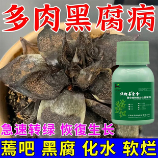 【多肉】杀菌通用花卉植物通用月季白粉病黑斑病锈病除菌灵杀菌剂