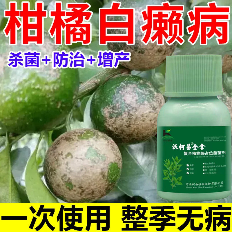 柑橘橙子杀菌剂病全治专用杀菌药全杀袋果病褐斑病烟煤病红点病