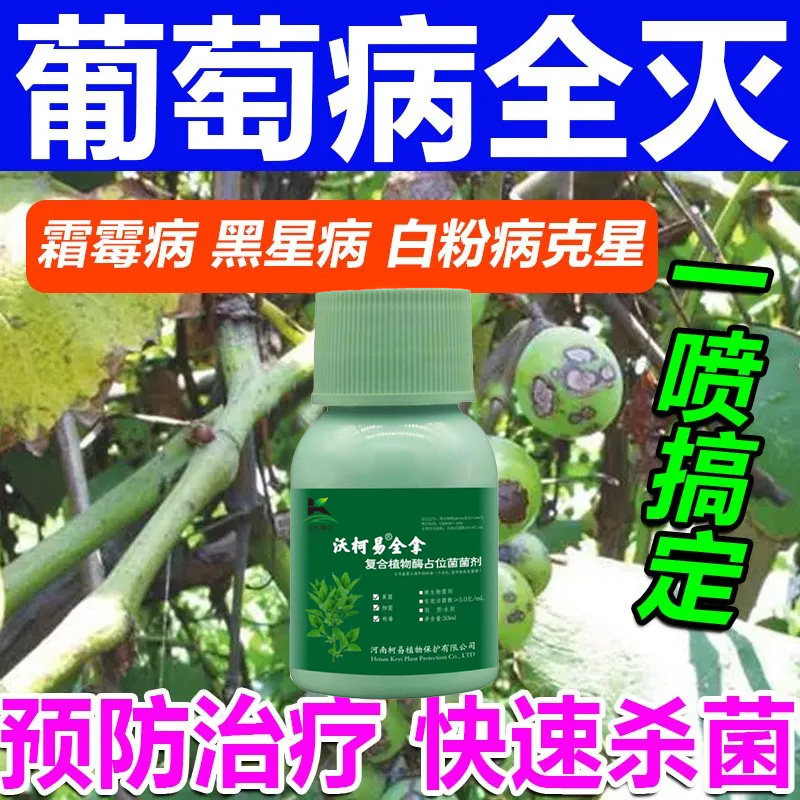 葡萄病全治专用葡萄霜霉病灰霉病白腐病黑痘烂穗炭疽病微生物菌剂