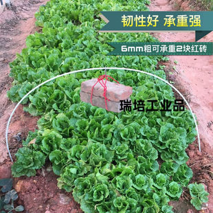 蔬菜保温小拱棚杆实心弹力玻璃纤维杆玻璃钢纤维棒玻纤杆塑料杆白