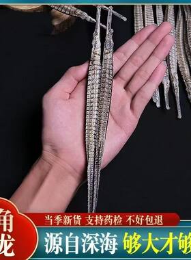 中药材六角大海龙滋补泡酒煲汤