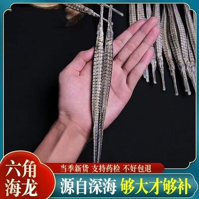 中药材六角大海龙滋补泡酒煲汤