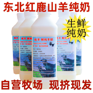 东北新鲜现挤红鹿山羊奶无添加无防腐无勾兑自营牧场正品天然放牧