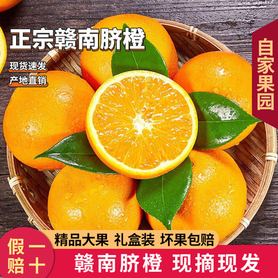 江西赣南橙子赣南脐橙