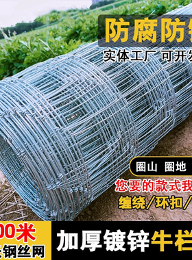 热镀锌铁丝网围栏钢丝铁网格网防护隔离养殖网牛羊果园圈地牛栏网