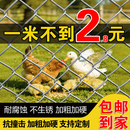 热镀锌钢丝网不生锈养鸡隔离防护