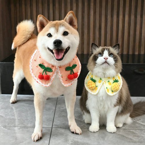 纯棉宠物围脖狗狗猫咪柯基法斗柴犬围巾围兜三角巾口水巾可爱领巾