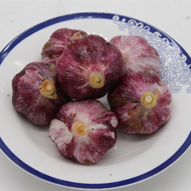 2022年云南紫皮大蒜分蒜新蒜 农家红皮分蒜头苍山大蒜湿蒜5斤包邮
