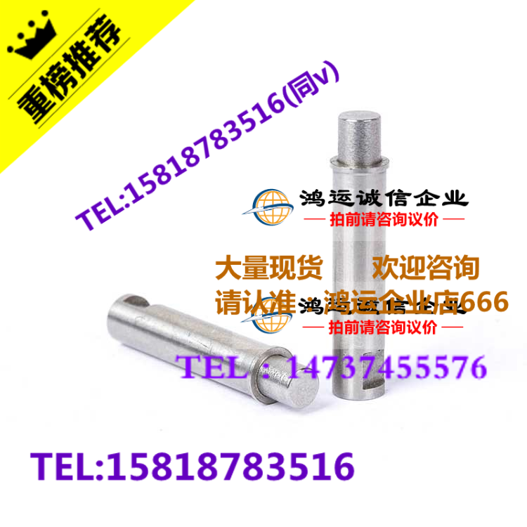 MPFLT止动型小径弹簧柱塞