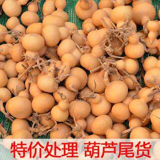 特价处理文玩4-7厘米小葫芦尾货形状各异花皮炸脐可练手烙画练习