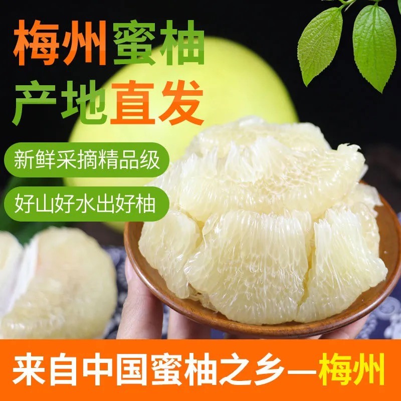 顺丰包邮50斤梅州白心蜜柚三红柚子新鲜孕妇水果当季现摘礼盒红心
