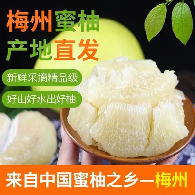 顺丰包邮50斤梅州白心蜜柚三红柚子新鲜孕妇水果当季现摘礼盒红心