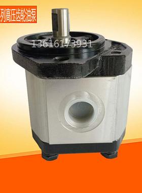 新款2GG1P22R 24R 26R 28R 30R 33R 2GG1P09R 2GG1P11R液压齿包邮