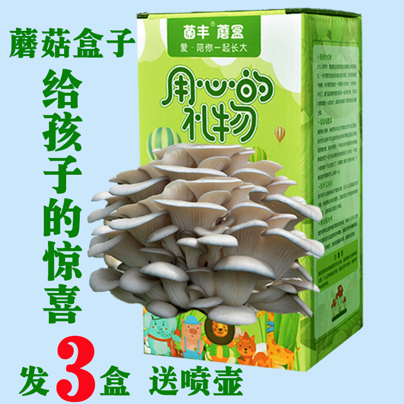 】的礼物菌植物迷你好养在养创意儿童家盒子蘑菇蘑菇四季【爱食用