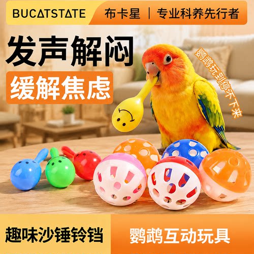 布卡星鹦鹉啃咬玩具虎皮