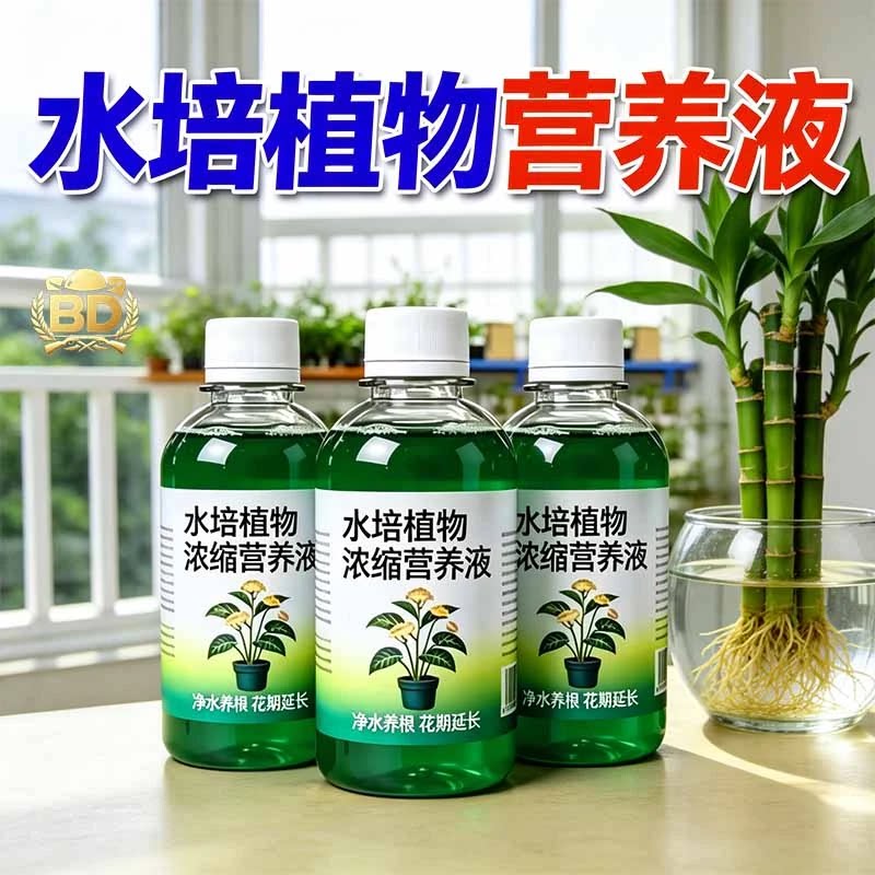 水培植物营养液通用型室内绿萝铜钱草碗富贵竹专用肥料
