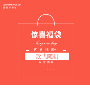 【盲盒】恰同学少年枕套福袋